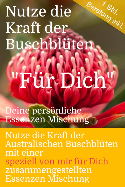 Deine_persönliche_Australische_Buschblüten_Essenzen_Mischung_inklusive_Beratung